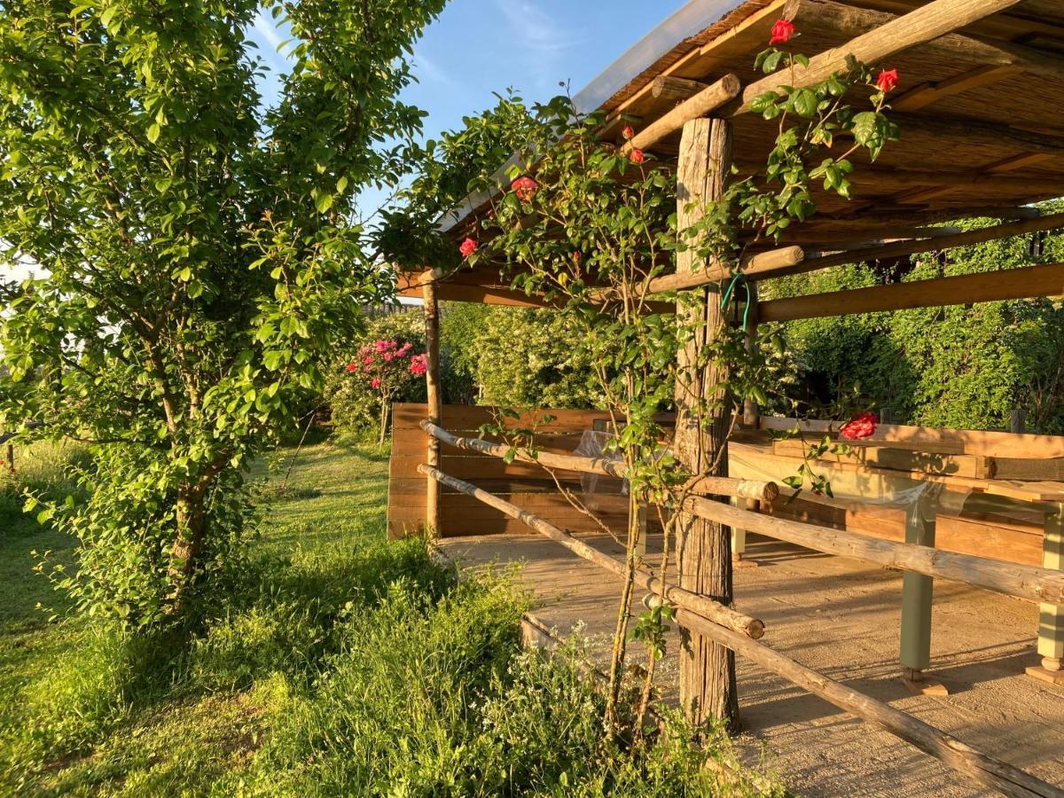 Podere Delle Rose Torre San Severo Exterior photo