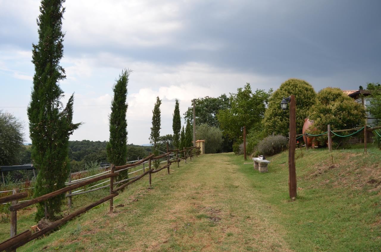 Podere Delle Rose Torre San Severo Exterior photo